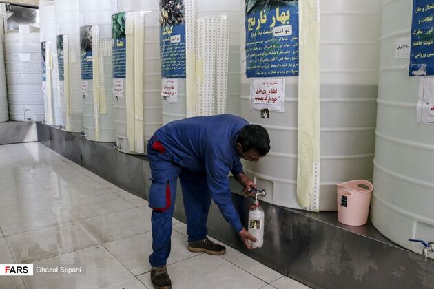 بوی بهار نارنج در اردیبهشت شیراز