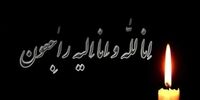 مهدی مهدوی‌ کیا عزادار شد
