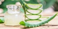 این گیاه برای زخم پای دیابتی ها معجزه است