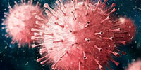 سویه جدید کروناویروس در هند/ «کاپا» خطرناک است؟
