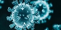 وحشتناکترین یافته‌های دانشمندان درباره ابتلای مجدد به کرونا