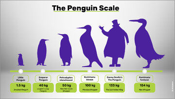 این پنگوئن عجیب،  ۱۶۰ کیلو است با ۲ متر قد دارد + عکس