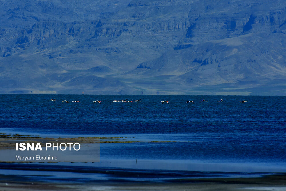 وسعت دریاچه ارومیه کاهش پیدا کرده است 