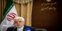 عارف: در بیان عملکرد دولت بی‌انصافی می‌شود/ شهادت می‌دهم رئیس‌جمهور تمام اصول قانون اساسی را لازم‌الاجرا می‌داند/ پزشکیان به بازی برد ـ برد اعتقاد دارد و به دنبال حذف رقبا نیست