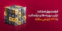 فرا‌صندوق تمشک؛ ترکیب بهینه طلا و درآمد‌ثابت با ٪۷۴ بازدهی سالانه