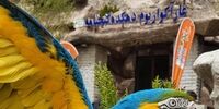 نوروز 1400 میزبان شما خواهیم بود