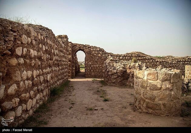 image12