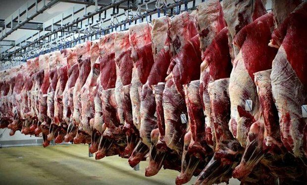 اعلام زمان عرضه گوشت گرم وارداتی در میادین