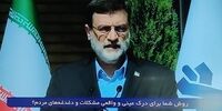 قاضی زاده هاشمی: اختیاری که این دولت در مذاکره با امریکا داشت کدام دولت داشت؟