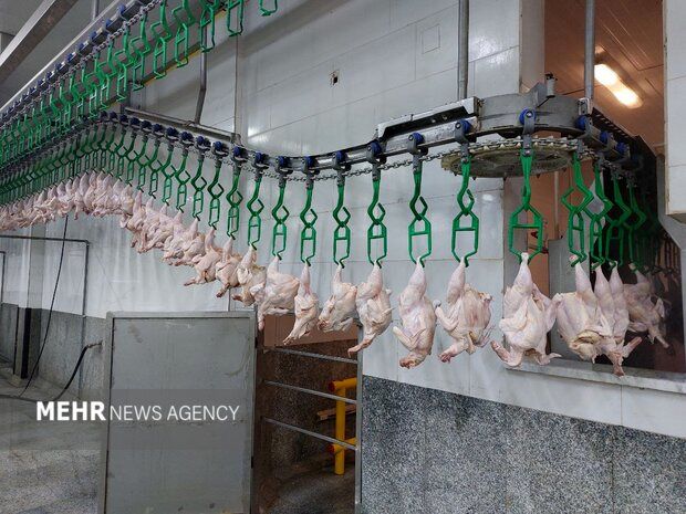 بازار لبنیات در مدار گرانی/ قیمت مرغ  ۱۶۸ هزار تومان شد+جدول قیمت کالاهای اساسی