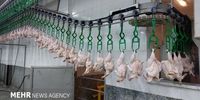 بازار لبنیات در مدار گرانی/ قیمت مرغ  ۱۶۸ هزار تومان شد+جدول قیمت کالاهای اساسی