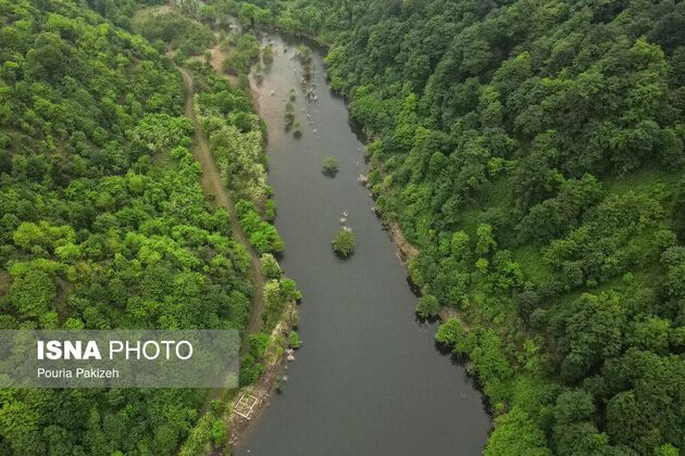 62279166_DJI_0453