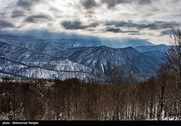 image11