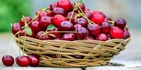 اثر خوردن گیلاس بر بدن انسان ها