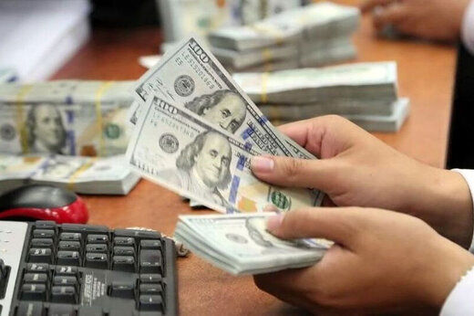 هشدار نماینده مجلس نسبت به بحران جدی اقتصادی توزیع ارز 4200 تومانی