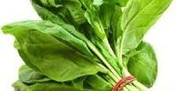 این سبزی پرخاصیت قاتل کم خونی است