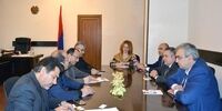 واردات 6 هزار تن گوشت از ارمنستان