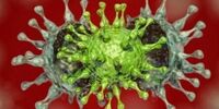 واکسن کرونا روی ویروس هندی تاثیر ندارد؟