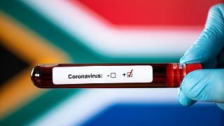 همه چیز درباره ویروس کرونای آفریقای جنوبی