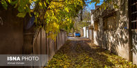 تصاویر| زیبایی های پاییز روستای «قاهان»