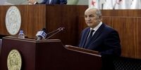 دولت جدید الجزایر تشکیل شد