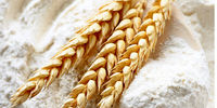 دفاع روزنامه دولت از چند برابر شدن قیمت آردِ تولید ماکارونی