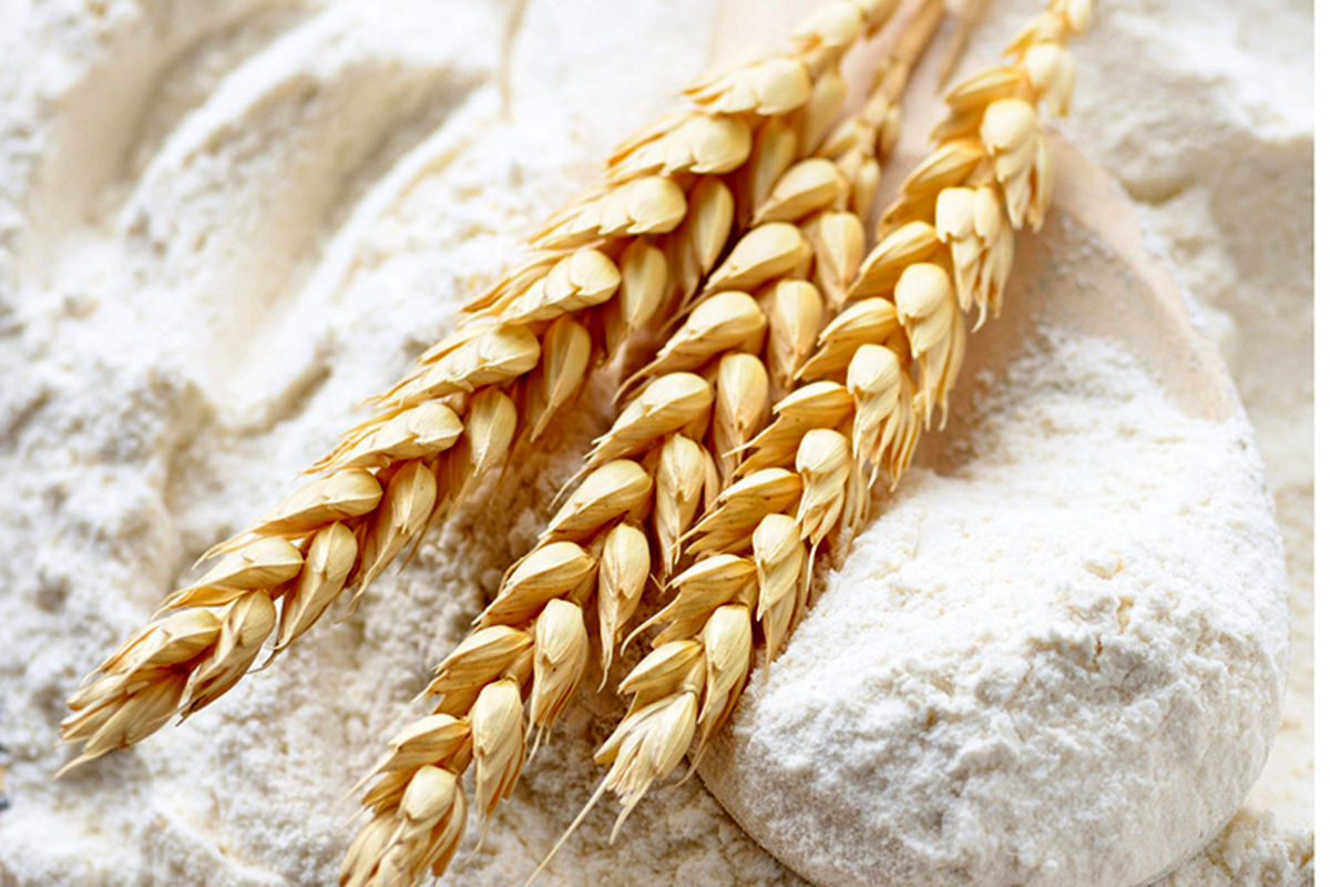دفاع روزنامه دولت از چند برابر شدن قیمت آردِ تولید ماکارونی