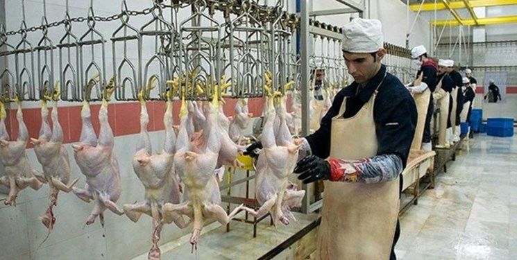 حقوق ماهیانه 2500 یورویی برای ناظران شرعی واردات مرغ از ترکیه!