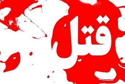 زن قاتل گربه های خیابانی دستگیر شد + فیلم