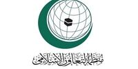 درخواست مهم دبیر کل سازمان همکاری اسلامی درباره جنگ غزه