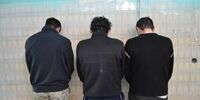 دستگیری سارقان ۵۰۰ میلیاردی پایتخت+عکس
                                                                                                                                                                                                                       
