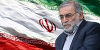 تایید رسمی شهادت رییس سازمان پژوهش و نوآوری وزارت دفاع