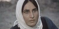 عکس های تازه از سوسن تسلیمی 