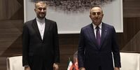 گفت‌وگوی امیرعبداللهیان با وزیرخارجه ترکیه+جزئیات