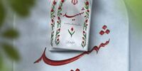 شهادت ۲ پاسدار لرستانی در حملات هوایی دشمن در تهران