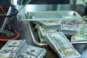 شکست 45 سال اقتصاد دستوری | راسخ: با حذف ارز ترجیحی رانت‌خواران از چرخه اقتصاد خارج می‌شوند | ارز ترجیحی هیچ منفعتی برای مصرف‌کننده نهایی نداشت