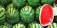 دمنوش تخم هندوانه؛ نوشیدنی ساده با ۸ فایده بزرگ