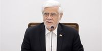 عارف: از دخالت‌های دولت در امور بازار ناراحتیم/  وقتی فردی دست از سوءاستفاده برنمی‌دارد، دیگر راهی باقی نمی‌ماند+ فیلم 