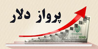 پرواز دلار با سوخت برجام و درهم /سکه ارزان شد؟