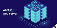 وب سرور چیست؛ انواع و نحوه کار آن