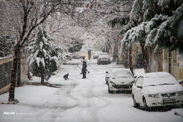 2987738_000IMG_9748