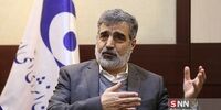 سخنگوی سازمان انرژی اتمی: اقدامات دیگری هم در دستورکار داریم
