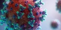 تشخیص نوع جدیدی از سویه دلتای ویروس کرونا در روسیه