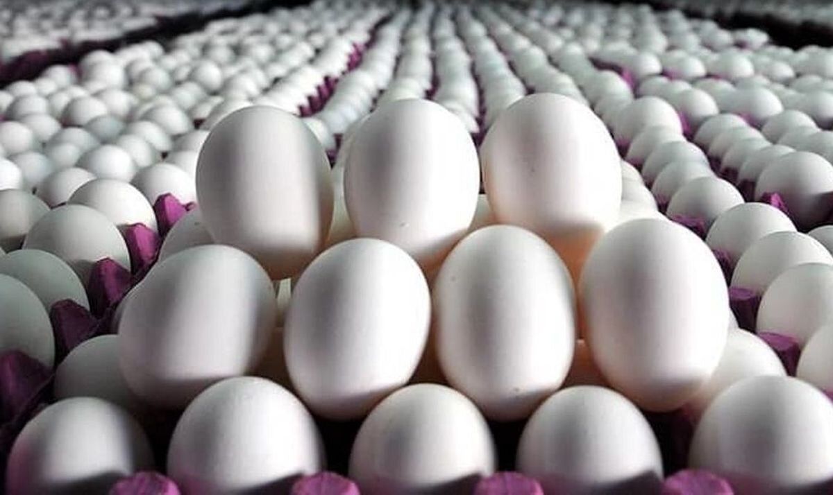 جدیدترین قیمت تخم مرغ در بازار+جدول