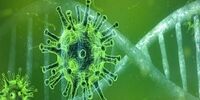 داروی سرطان با کرونا مقابله می کند؟