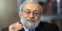 رفراندوم حجاب خلاف قانون اساسی است‌/  اگر خانمی برهنه پشت پنجره خانه اش باشد، کسی که در خیابان دیده می تواند به پلیس زنگ‌ بزند