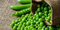 این گیاه سبزرنگ، قاتل دیابت است!