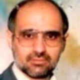 سیدمحمود  حسینی