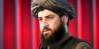 ادعای جدید طالبان علیه ایران/ 4 روز با توپخانه به ما حمله کردند+ فیلم