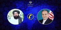 گفتگوی تلفنی عراقچی با وزیر خارجه افغانستان/ اعلام آمادگی برای کمک به کاهش تنشها میان پاکستان و افغانستان